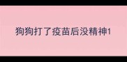 狗狗打了疫苗后没精神