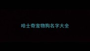 哈士奇宠物狗名字大全