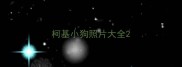 柯基小狗照片大全