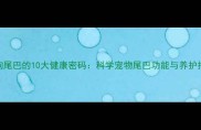 小狗尾巴的10大健康密码科学宠物尾巴功能与养护指南