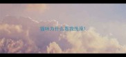 猫咪为什么看我洗澡