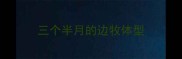 三个半月的边牧体型