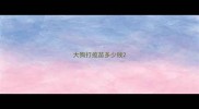 大狗打疫苗多少钱