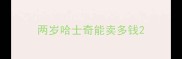 两岁哈士奇能卖多钱