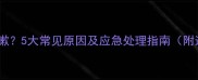 狗狗打完疫苗后总咳嗽5大常见原因及应急处理指南附送疫苗后护理清单