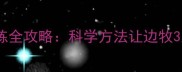边境牧羊犬飞盘训练全攻略科学方法让边牧3周掌握叼飞盘技巧
