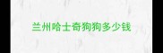 兰州哈士奇狗狗多少钱