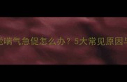 哈士奇幼犬睡觉喘气急促怎么办5大常见原因与专业应对指南
