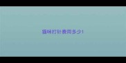 猫咪打针费用多少