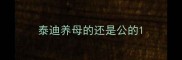 泰迪养母的还是公的