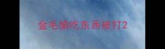 金毛偷吃东西被打