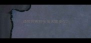 成年拉布拉多每天喂多少