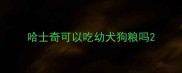 哈士奇可以吃幼犬狗粮吗