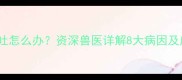 狗狗吐拉稀呕吐怎么办资深兽医详解8大病因及应急处理指南
