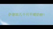 萨摩耶几个月不喂奶粉
