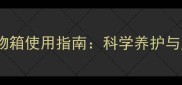 猫咪安全储物箱使用指南科学养护与风险防范全