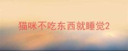 猫咪不吃东西就睡觉