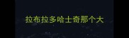 拉布拉多哈士奇那个大