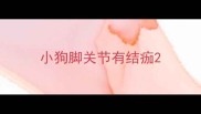 小狗脚关节有结痂