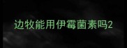 边牧能用伊霉菌素吗