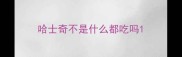 哈士奇不是什么都吃吗