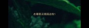 在哪里买德国边牧