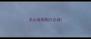 怎么给狗狗打点滴