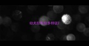 幼犬拉布拉多特征