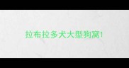拉布拉多犬大型狗窝