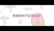 泰迪奶水不足怎么办