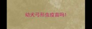 幼犬弓形虫疫苗吗