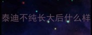 泰迪不纯长大后什么样