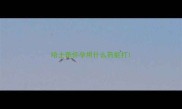 哈士奇怀孕用什么药能打