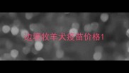 边境牧羊犬疫苗价格
