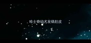 哈士奇幼犬发烧肚皮