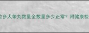 拉布拉多犬睾丸数量全数量多少正常附健康检查指南