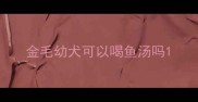 金毛幼犬可以喝鱼汤吗