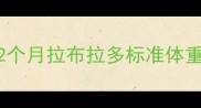 2个月拉布拉多标准体重