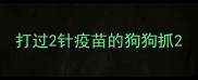 打过2针疫苗的狗狗抓