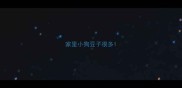 家里小狗豆子很多