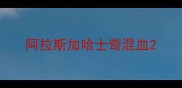 阿拉斯加哈士奇混血