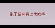 抱了猫咪身上为啥痒