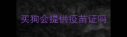 买狗会提供疫苗证吗