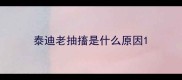 泰迪老抽搐是什么原因
