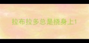 拉布拉多总是挠身上