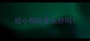 给小狗吃骨头好吗