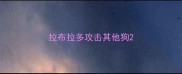 拉布拉多攻击其他狗