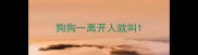 狗狗一离开人就叫