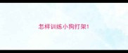怎样训练小狗打架