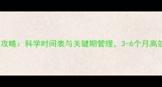 拉布拉多犬训练全攻略科学时间表与关键期管理3-6个月高效养成导盲搜救犬
